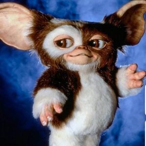 Meet your Posher, Aaron